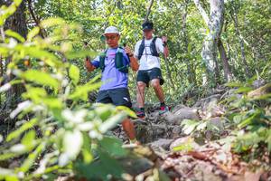 BIB: 
                            <button type="button" onclick="openModal(27698527)" class="btn btn-primary btn-sm float-right btn-popup" data-toggle="modal" data-target=".modal-high-quality">
                        <i class="fas fa-shopping-cart"></i> Add to Cart
                    </button>
                                            <button type="button" onclick="isThisMe(27698527, true)" class="btn btn-success btn-sm float-right btn-popup btn-isme hidden" data-toggle="tooltip" data-placement="bottom" title="นี่คือรูปของคุณใช่ไหม คลิกที่นี่เพื่อเอาเข้าอัลบั้ม">
                        <i class="fas fa-plus"></i> Add to album
                    </button>
                    <button type="button" onclick="isThisMe(27698527, false)" class="btn btn-warning btn-sm float-right btn-popup btn-isnotme hidden">
                        <i class="fas fa-ban"></i> Remove from album
                    </button>